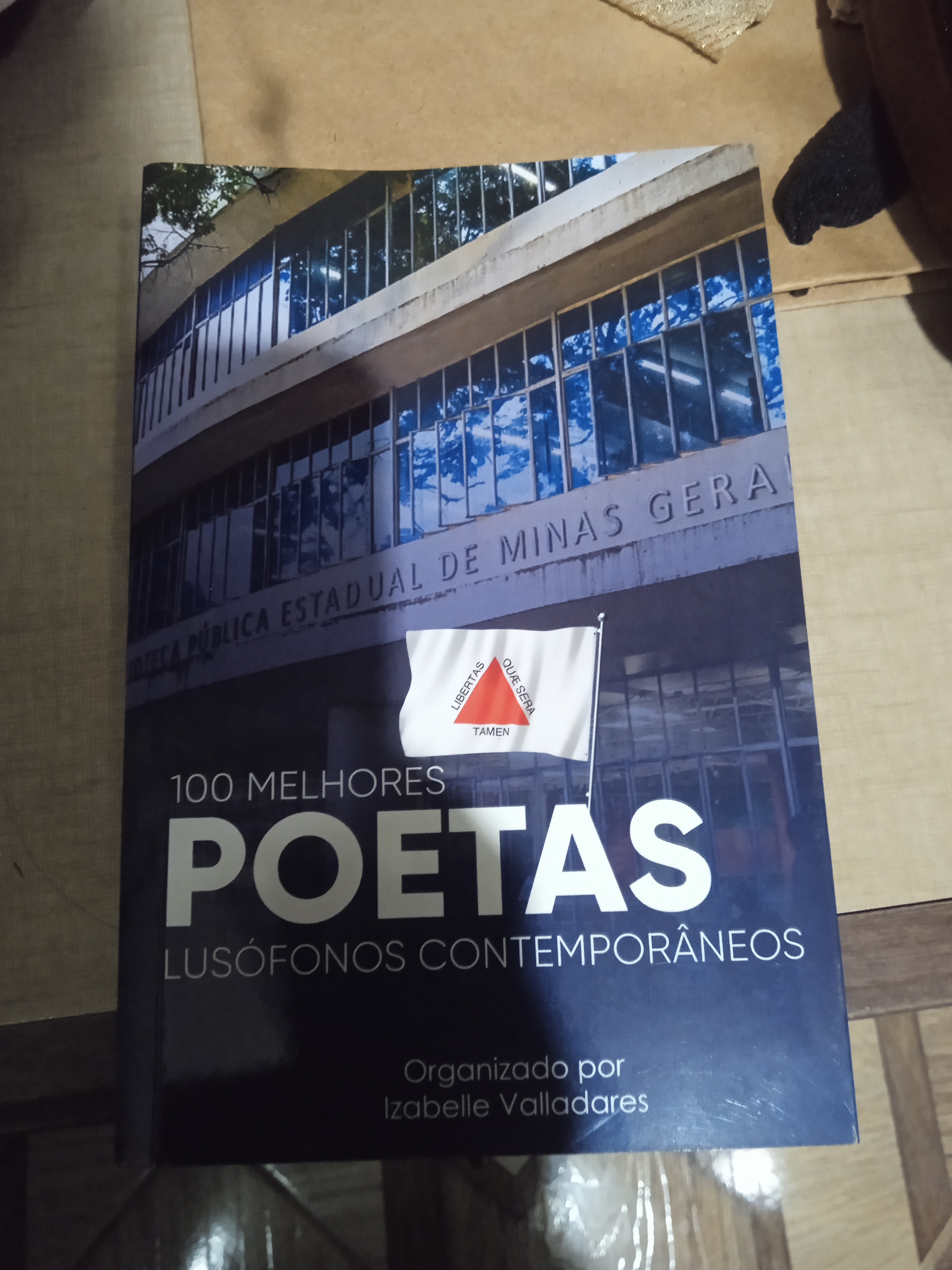 Livro Os cem melhores poetas da língua lusófonos 