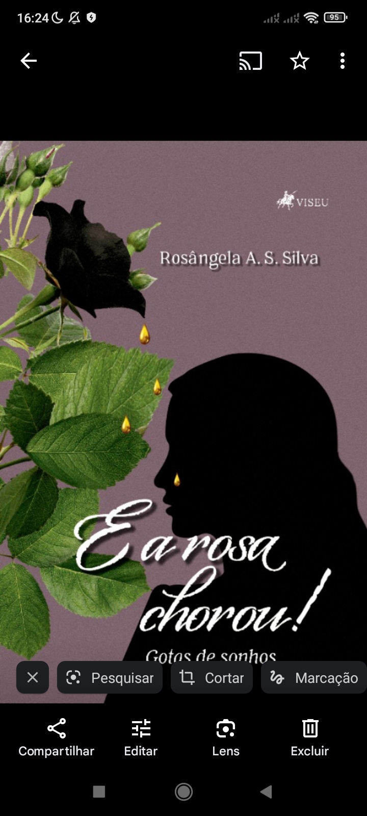 Livro E a rosa chorou 